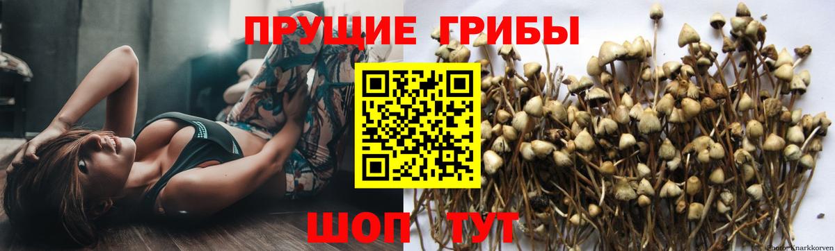 Луховицы  Галлюциногенные грибы мухоморы  Вход с VPN 
